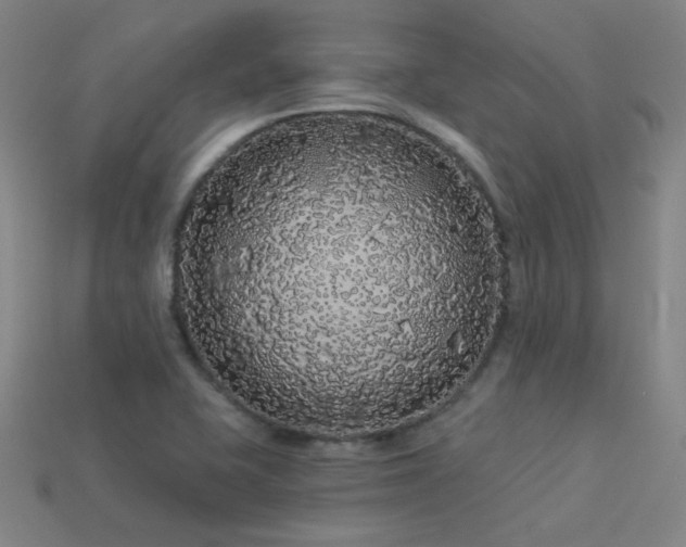 X0000114121415200910051502