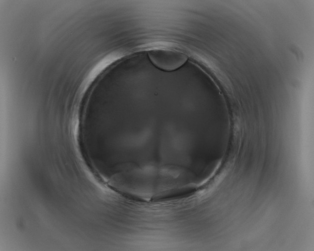 X0000114121418200910051502