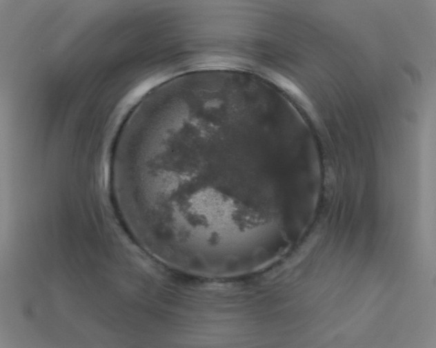 X0000114121419200910051502
