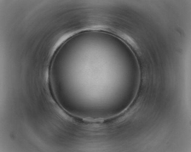 X0000114121420200910051502