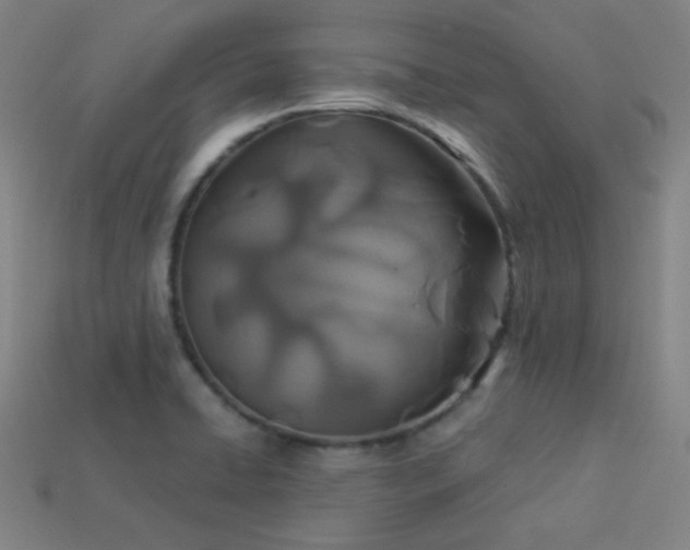 X0000114121422200910051502