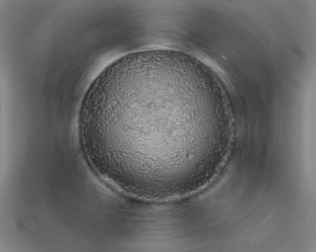 X0000114121423200910051502