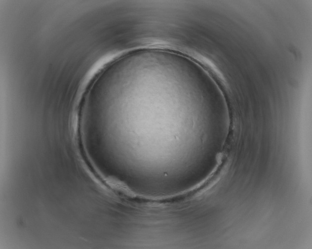 X0000114121424200910051502