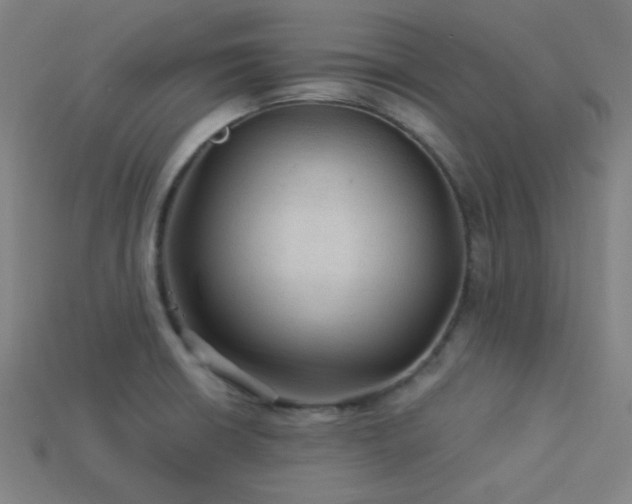 X0000114121426200910051502