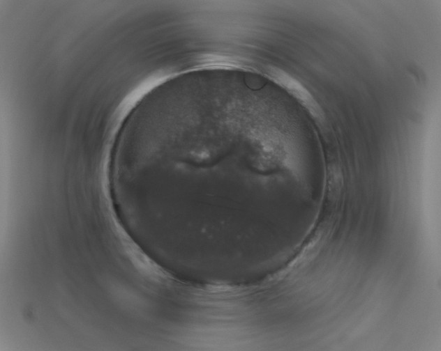 X0000114121427200910051502