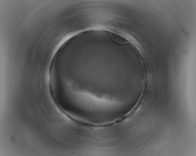 X0000114121428200910051502