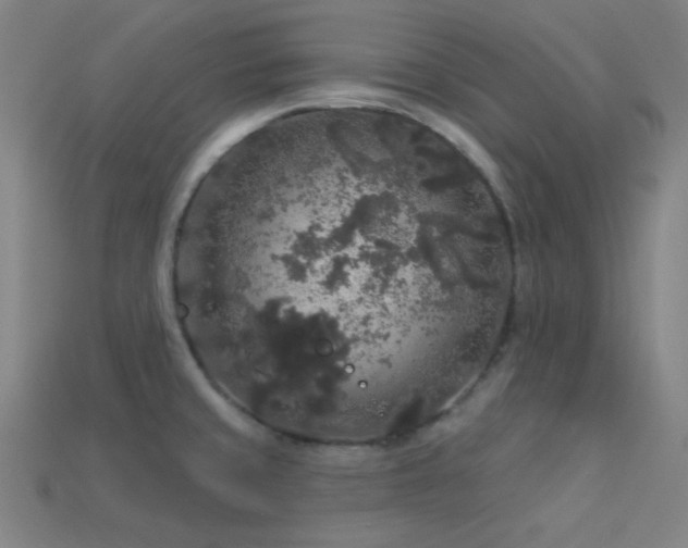 X0000114121429200910051502
