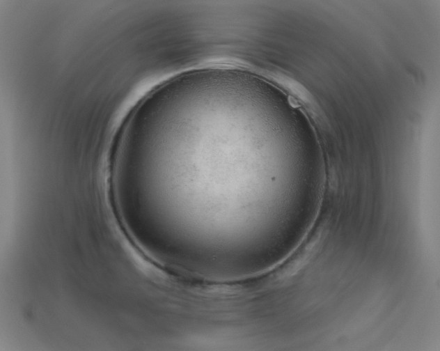 X0000114121430200910051502
