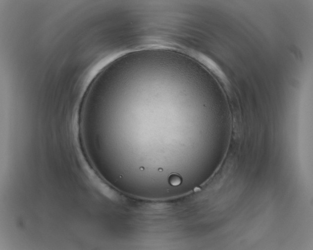 X0000114121431200910051502