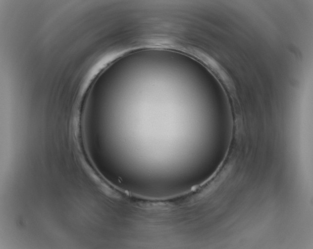 X0000114121432200910051502