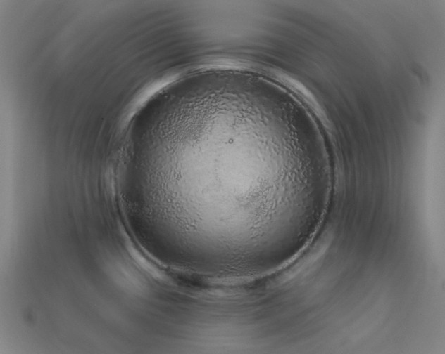 X0000114121433200910051502
