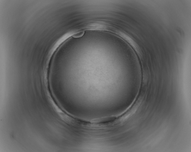 X0000114121434200910051502