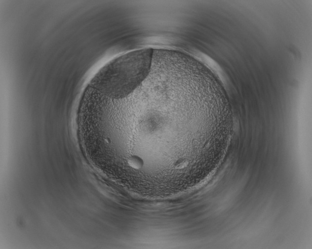 X0000114121435200910051502