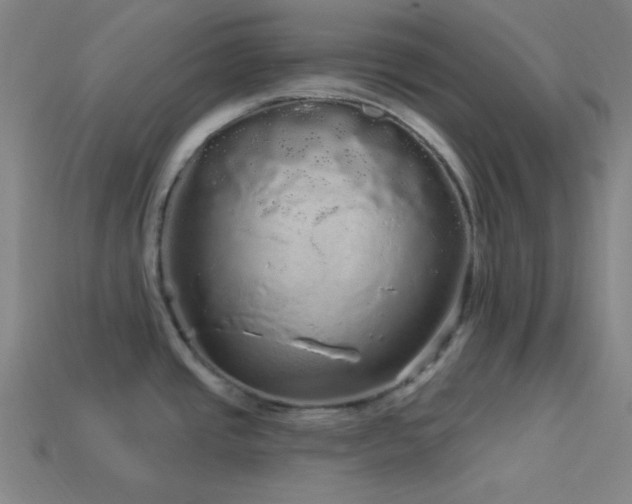 X0000114121437200910051502