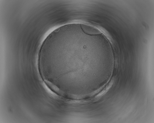 X0000114121438200910051502