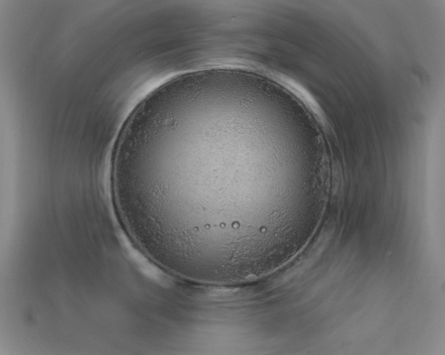 X0000114121439200910051502