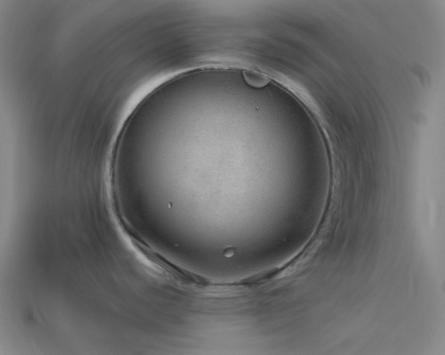 X0000114121440200910051502