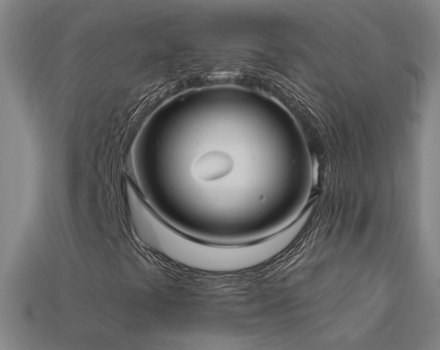 X0000114121441200910051501