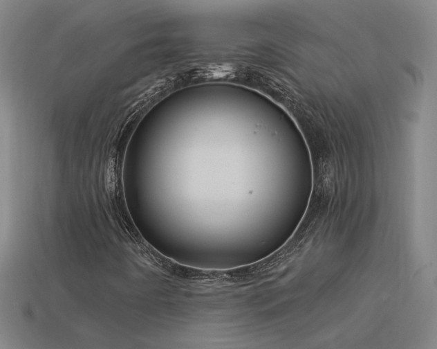 X0000114121442200910051501