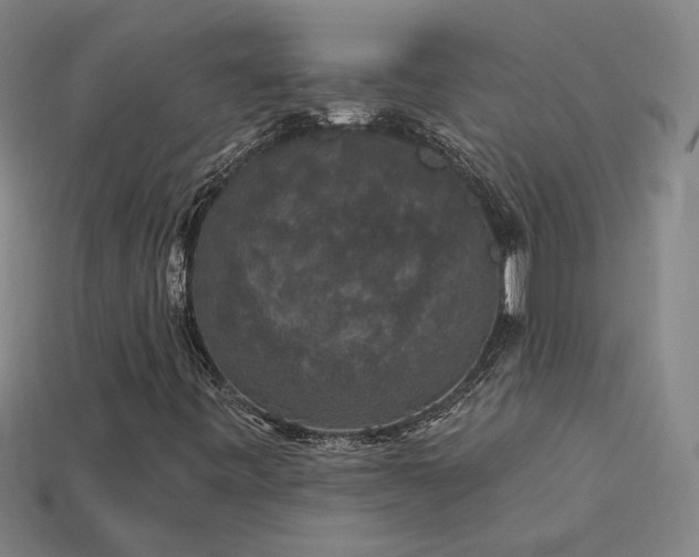 X0000114121443200910051501
