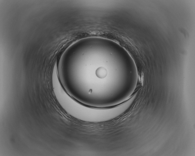 X0000114121444200910051501