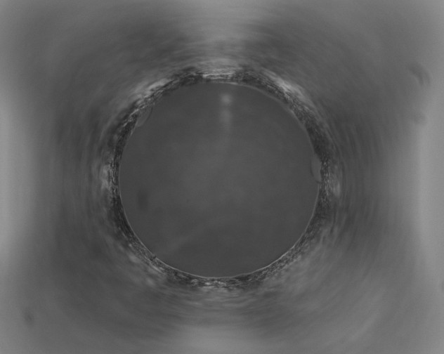 X0000114121445200910051501