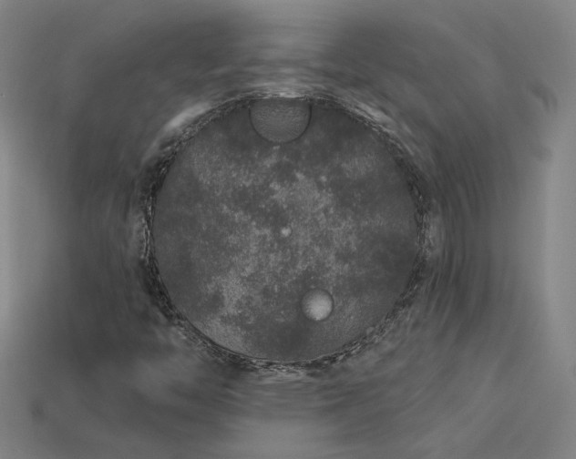 X0000114121446200910051501