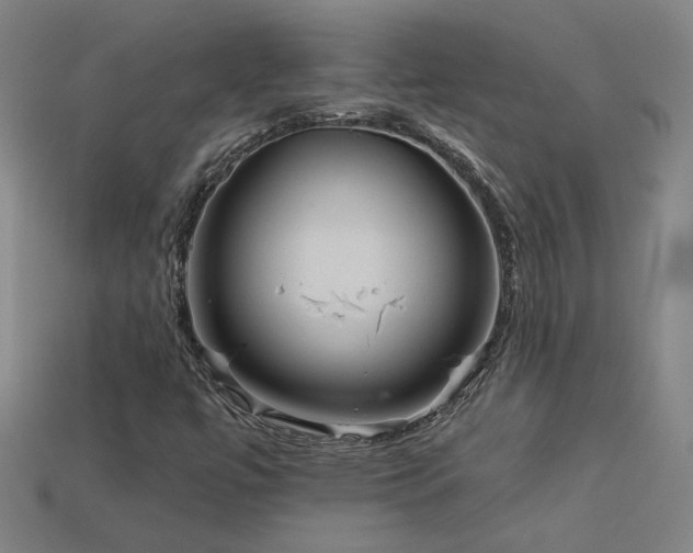 X0000114121447200910051501