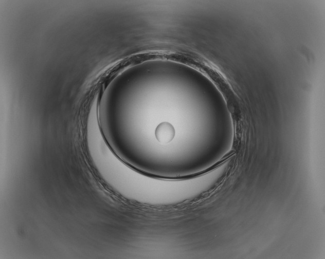 X0000114121448200910051501