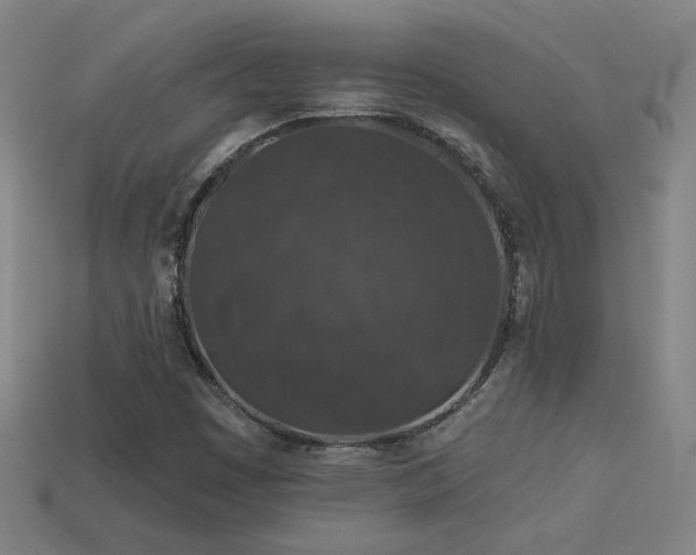 X0000114121449200910051501