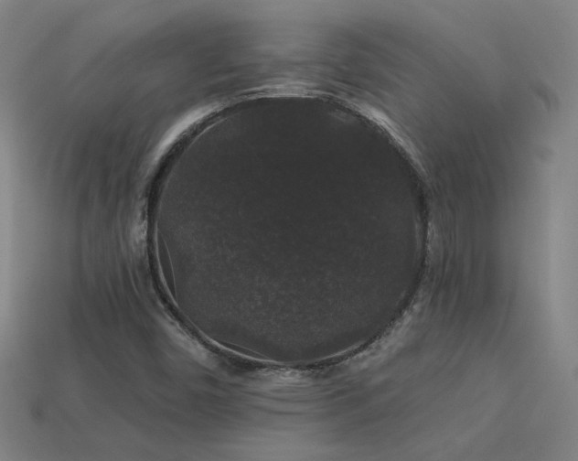X0000114121450200910051501