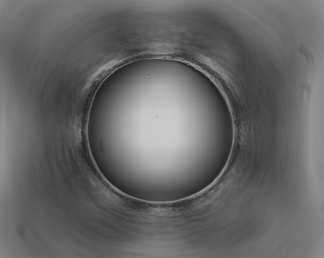 X0000114121451200910051501