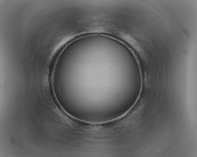 X0000114121452200910051501