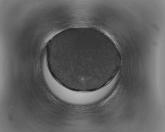 X0000114121453200910051501