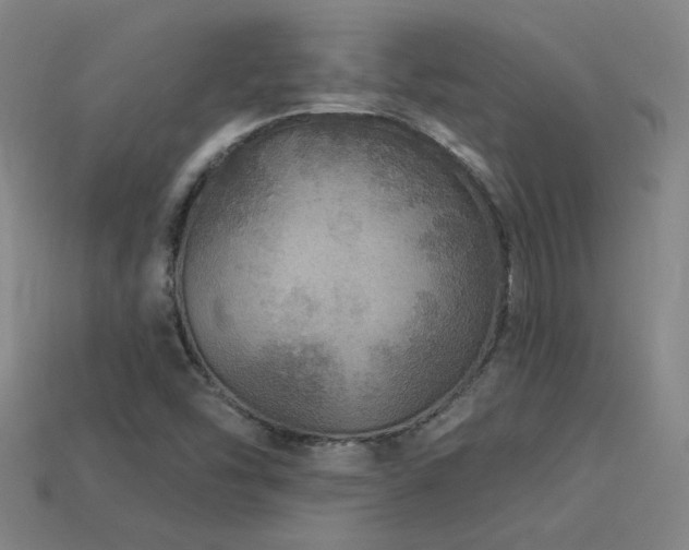 X0000114121454200910051501