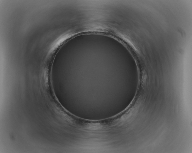 X0000114121455200910051501