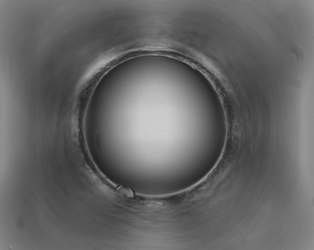 X0000114121456200910051501