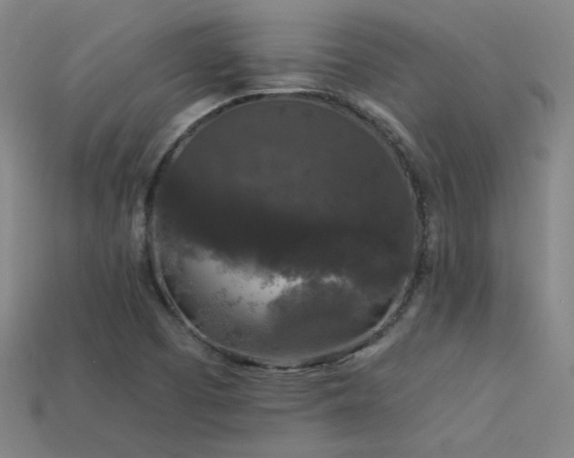 X0000114121457200910051501