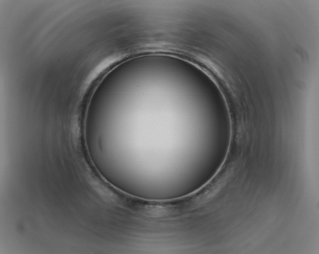X0000114121458200910051501