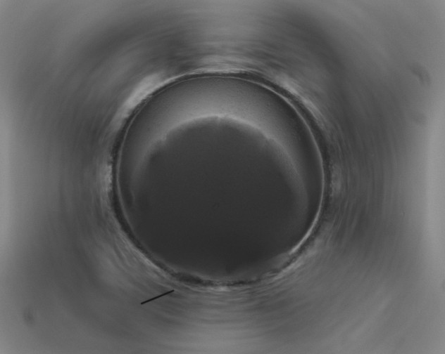 X0000114121459200910051501