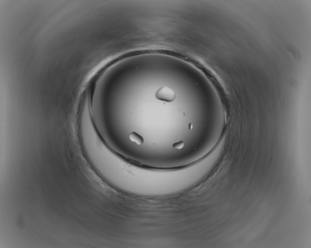 X0000114121460200910051501