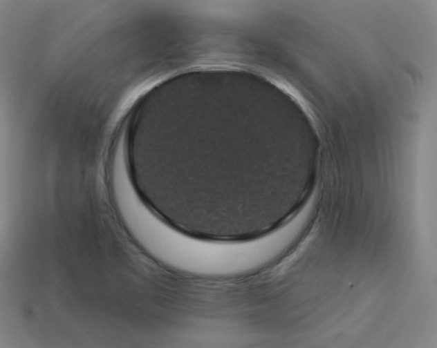 X0000114121461200910051501