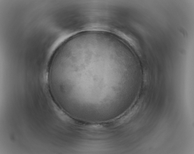 X0000114121462200910051501