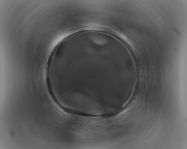 X0000114121463200910051501
