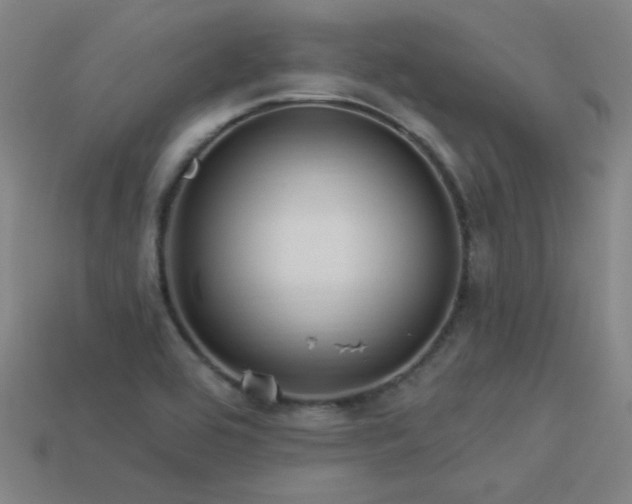X0000114121464200910051501