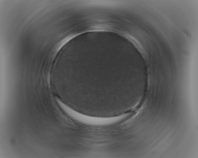X0000114121465200910051501