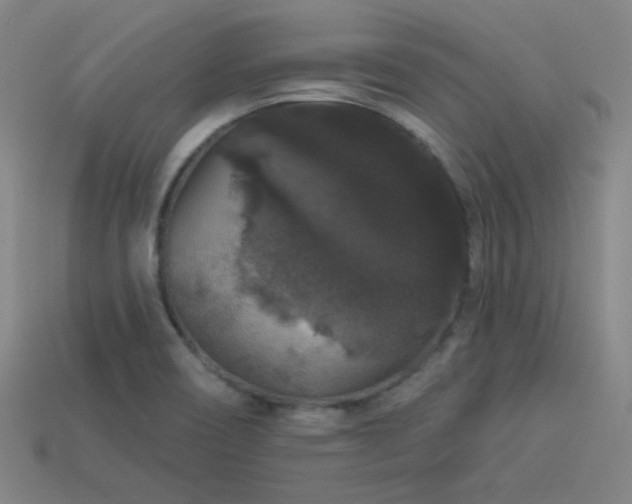 X0000114121466200910051501