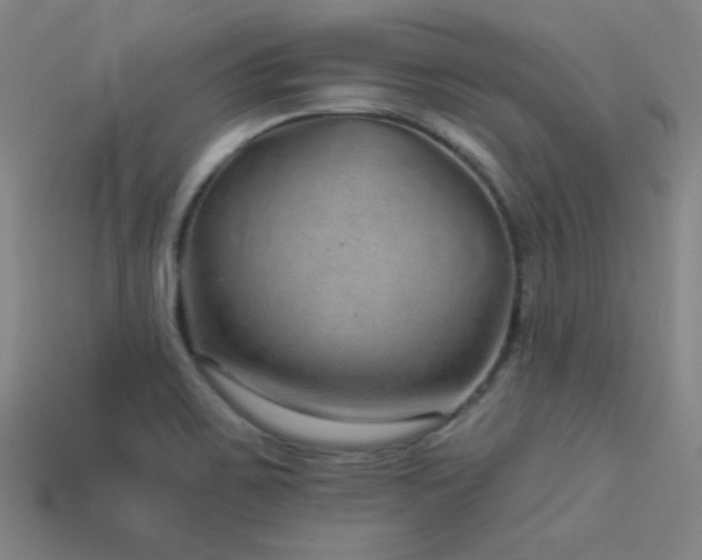 X0000114121467200910051501