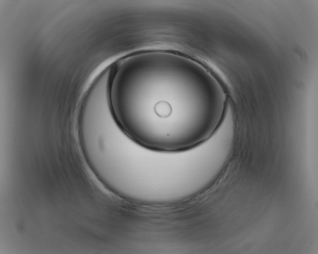 X0000114121468200910051501