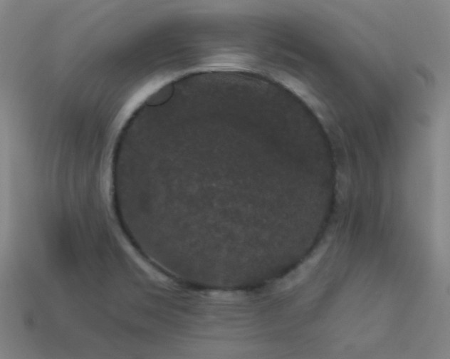 X0000114121469200910051501